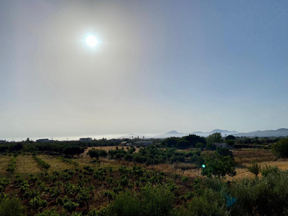 Sunset View Apartment, In The Nature, At Zipari "6" Zipárion Εξωτερικό φωτογραφία